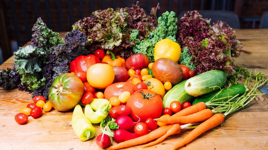 5 Best Liquid Plant Fertilizers for Thriving Soil Vegetable Gardens