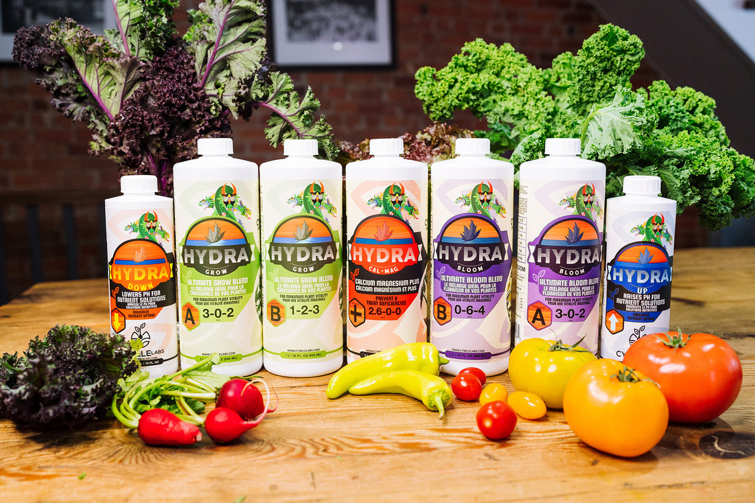 Nourish to Flourish: The HydraGarden Plant Feed Chart and Schedule