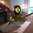 Plantaform Smart Indoor Garden V2