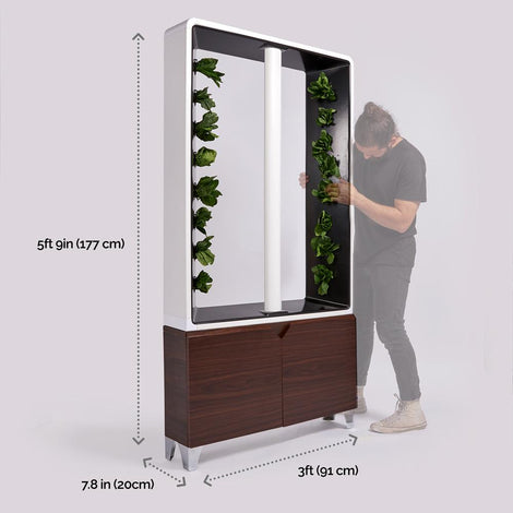 The AEVA Indoor Farm