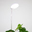Mossify Adjustable Full Spectrum LED Plant Light for Indoor Plants