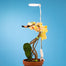 Mossify Adjustable Full Spectrum LED Plant Light for Indoor Plants