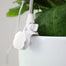 Mossify Adjustable Full Spectrum LED Plant Light for Indoor Plants