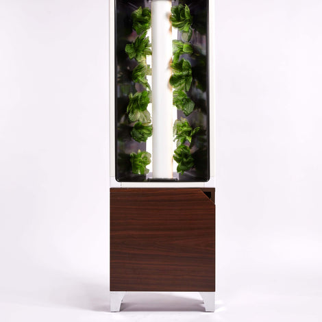 The EVE Tower Garden
