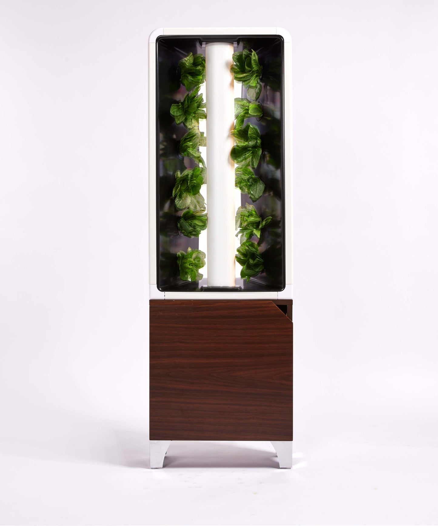 The EVE Tower Garden
