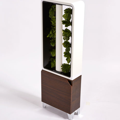 The EVE Tower Garden