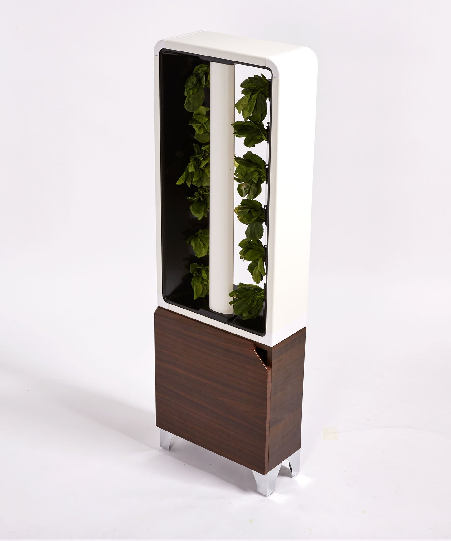 The EVE Tower Garden