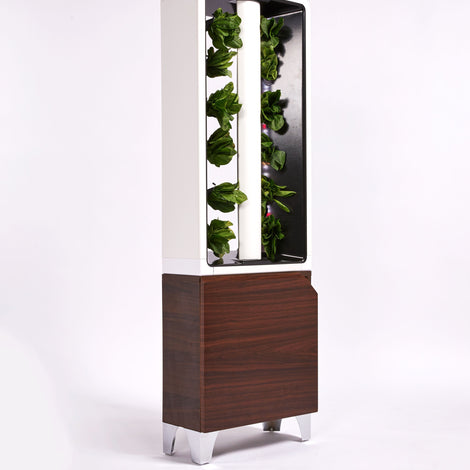 The EVE Tower Garden