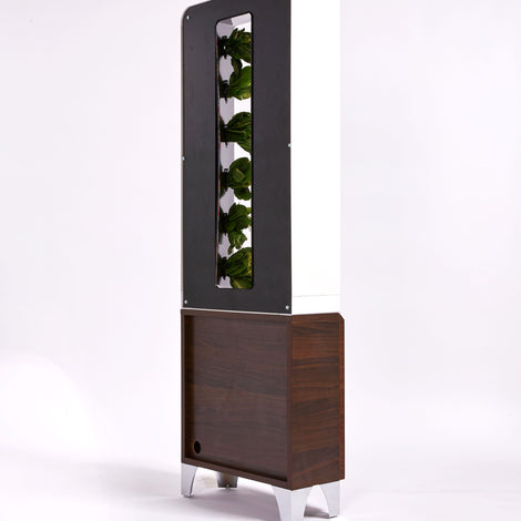 The EVE Tower Garden