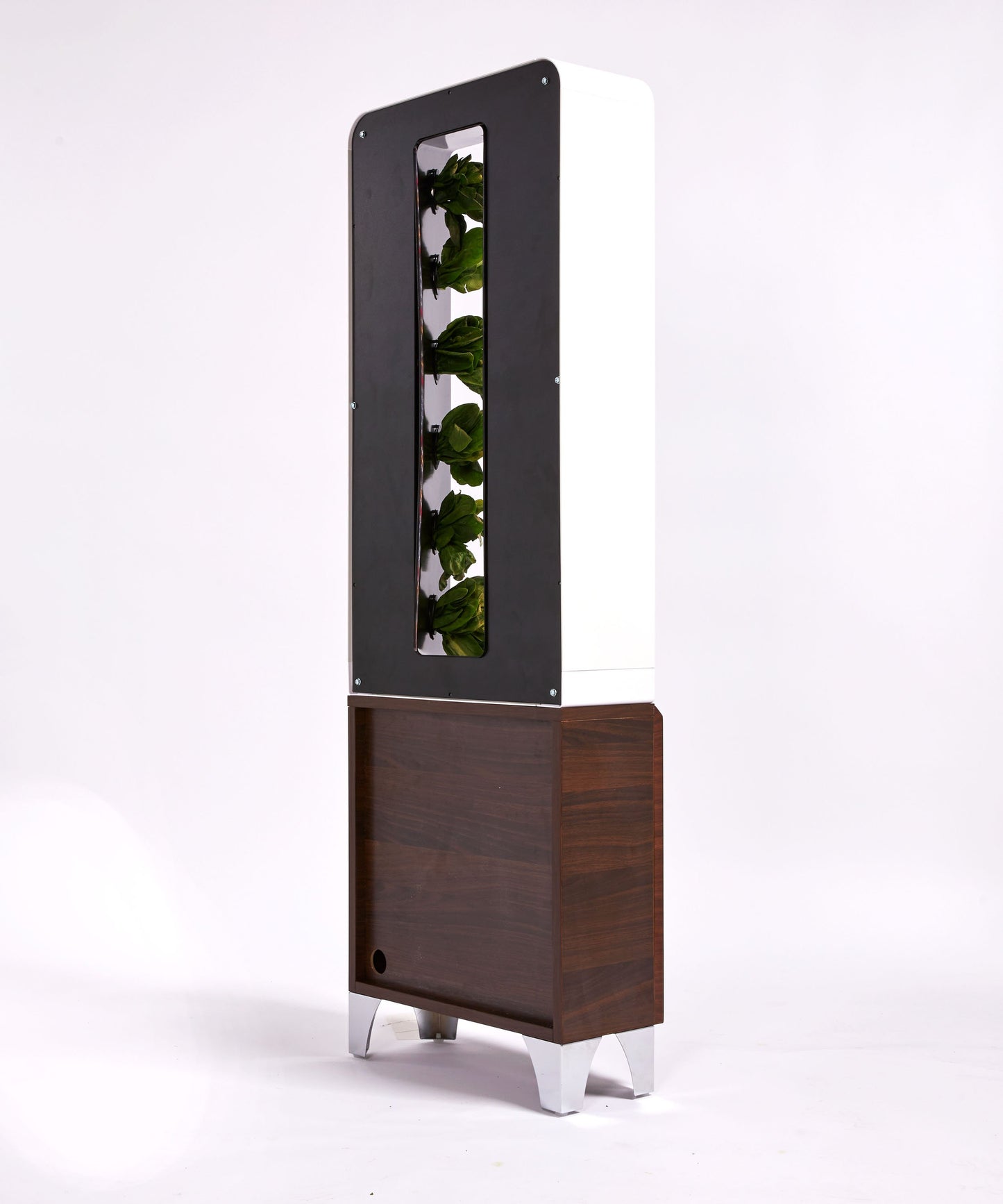 The EVE Tower Garden