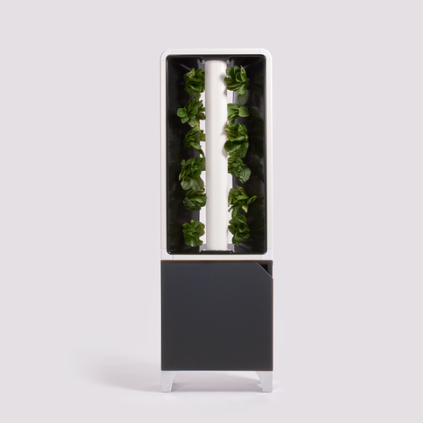 The EVE Tower Garden