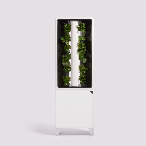 The EVE Tower Garden