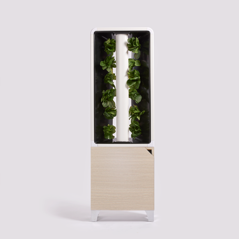 The EVE Tower Garden