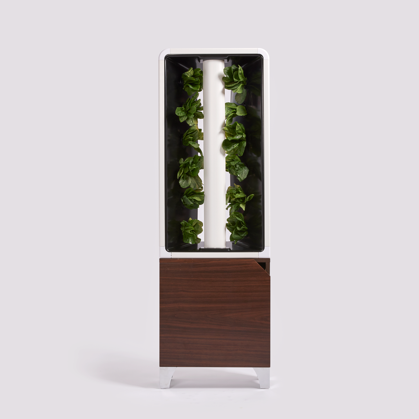 The EVE Tower Garden