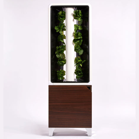 The EVE Tower Garden