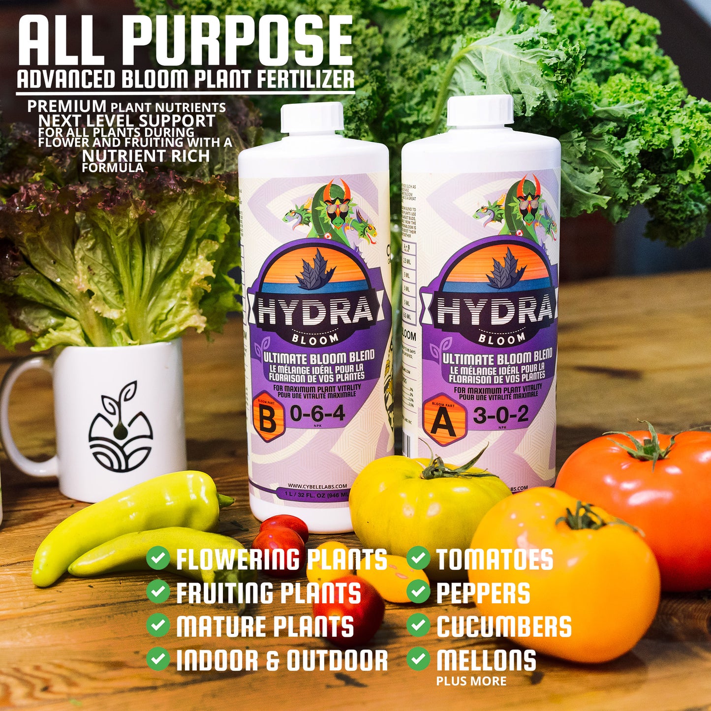 HydraBloom A & B (1L / 32oz)