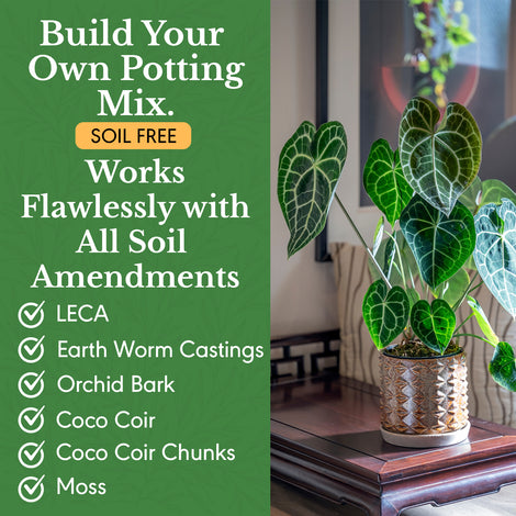 Horticultural Charcoal 2.2lb