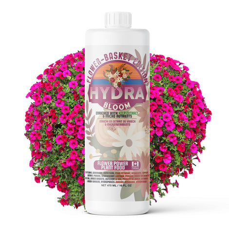 HydraBloom Flower Basket Edition (500ml / 16oz)