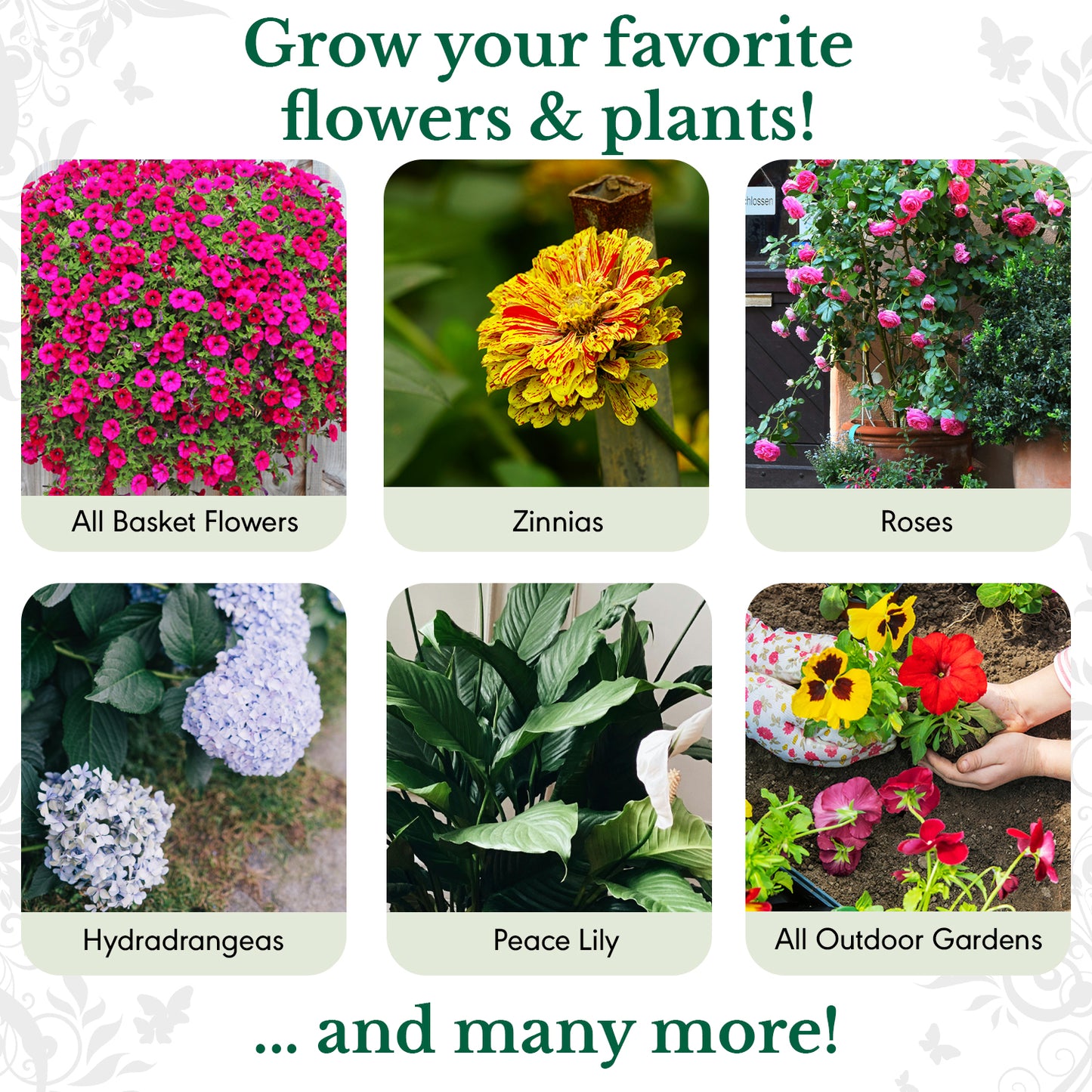 HydraBloom Flower Basket Edition (500ml / 16oz)