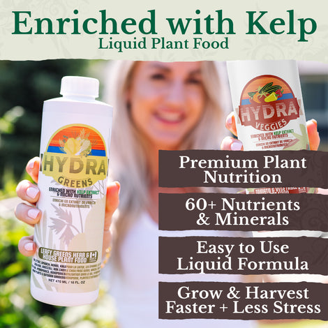 HydraGreens et HydraVeggies (500 ml / 16 oz)