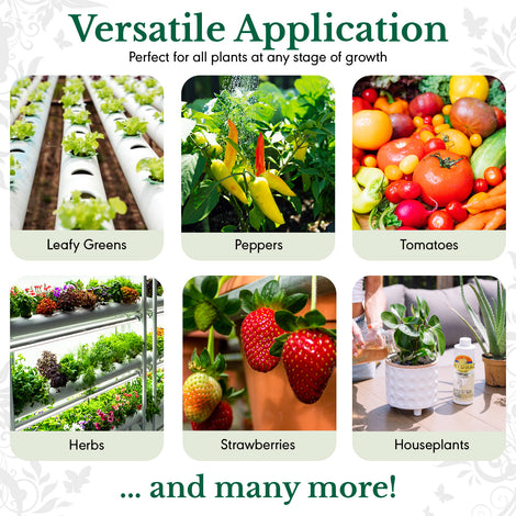 HydraGreens et HydraVeggies (500 ml / 16 oz)