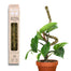 Mossify Bendable Moss Pole THIN 3-Pack — Flexible Climbing Plant Support