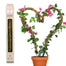 Mossify Bendable Moss Pole THIN 3-Pack — Flexible Climbing Plant Support