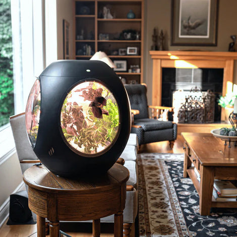 Plantaform Smart Indoor Garden