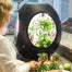 Plantaform Smart Indoor Garden