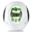 Plantaform Smart Indoor Garden