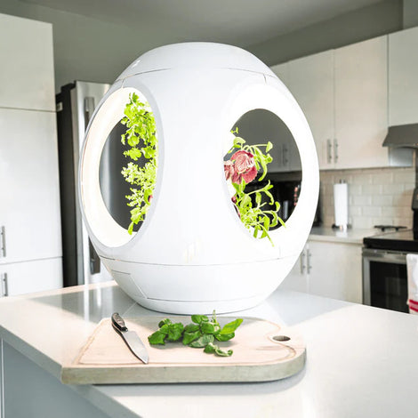Plantaform Smart Indoor Garden