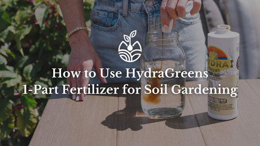 How to feed your plants with HydraGreens