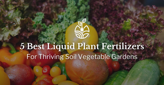 5 Best Liquid Plant Fertilizers for Thriving Soil Vegetable Gardens