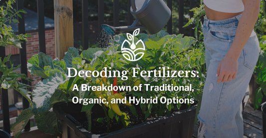 Decoding Plant Fertilizers: A Breakdown of Traditional, Organic, and Hybrid Options