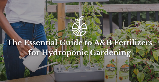 The Essential Guide to A&B Fertilizers for Hydroponic Gardening