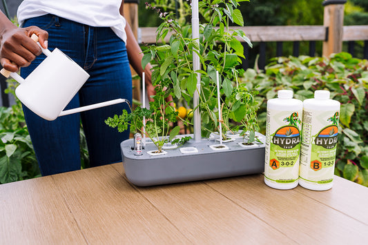 From Beginner to Pro: The Top 7 Hydroponic Methods You Need to Try