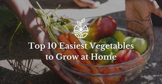 Top 10 Easiest Vegetables to Grow at Home