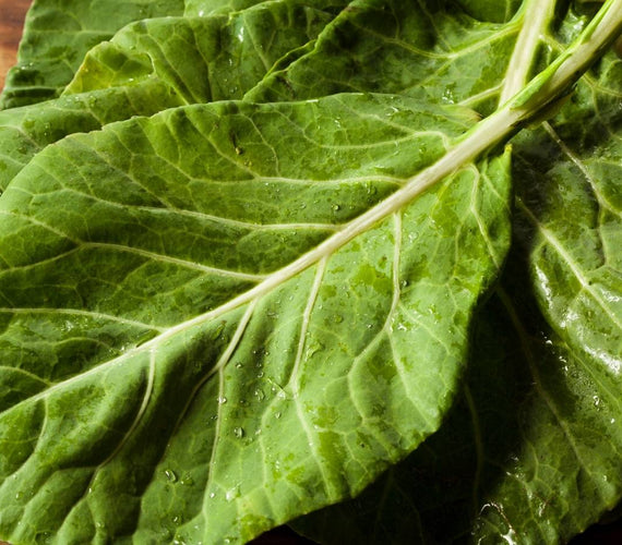 Colligreen Collard Greens – HydraGarden
