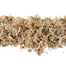 Mossify Premium Long Fiber Sphagnum Moss — Sustainably Harvested for Aroids, Orchids, Propagation & Terrariums