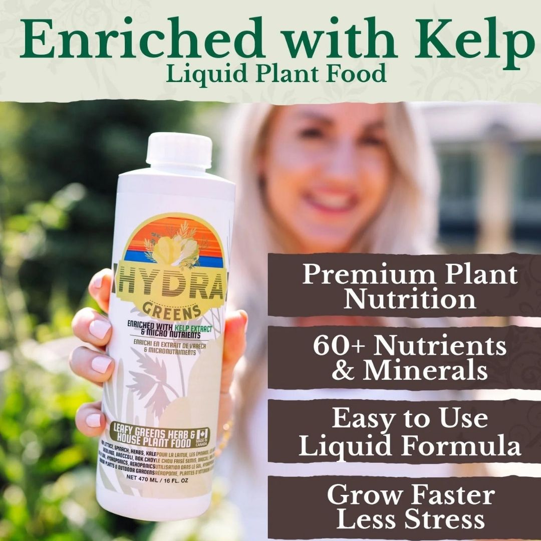 herb plant fertilizer HydraGreens (500ml / 16oz) – HydraGarden