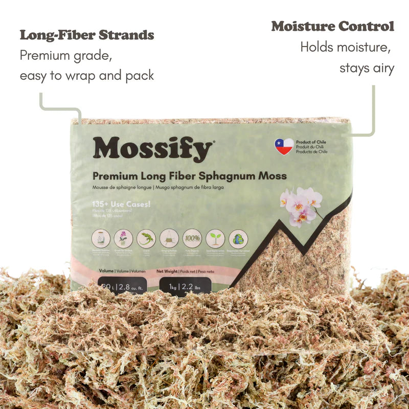 Mossify Premium Long Fiber Sphagnum Moss — Sustainably Harvested for Aroids, Orchids, Propagation & Terrariums