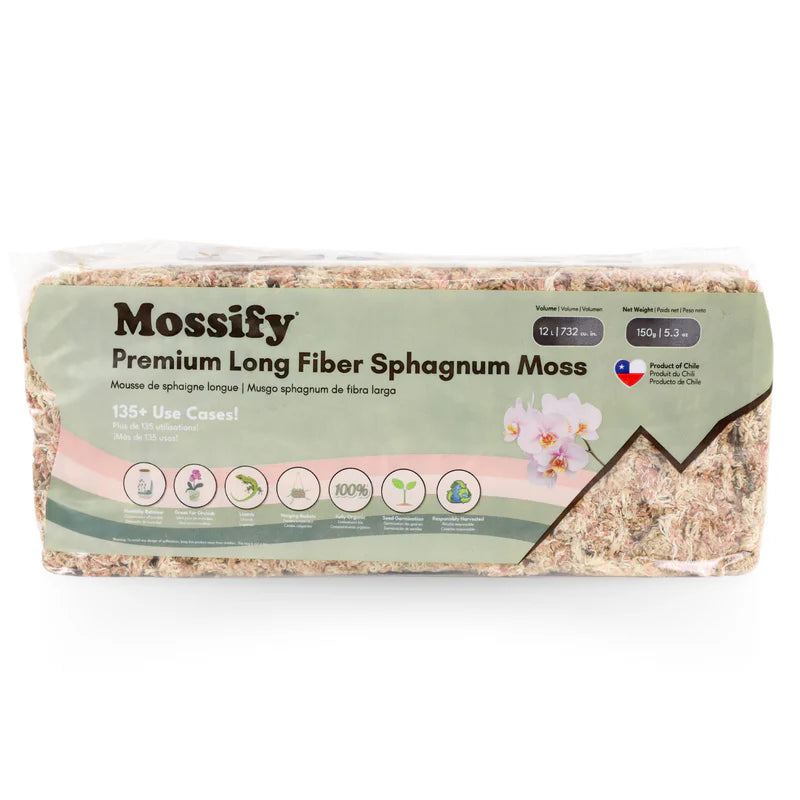 Mossify Premium Long Fiber Sphagnum Moss — Sustainably Harvested for Aroids, Orchids, Propagation & Terrariums