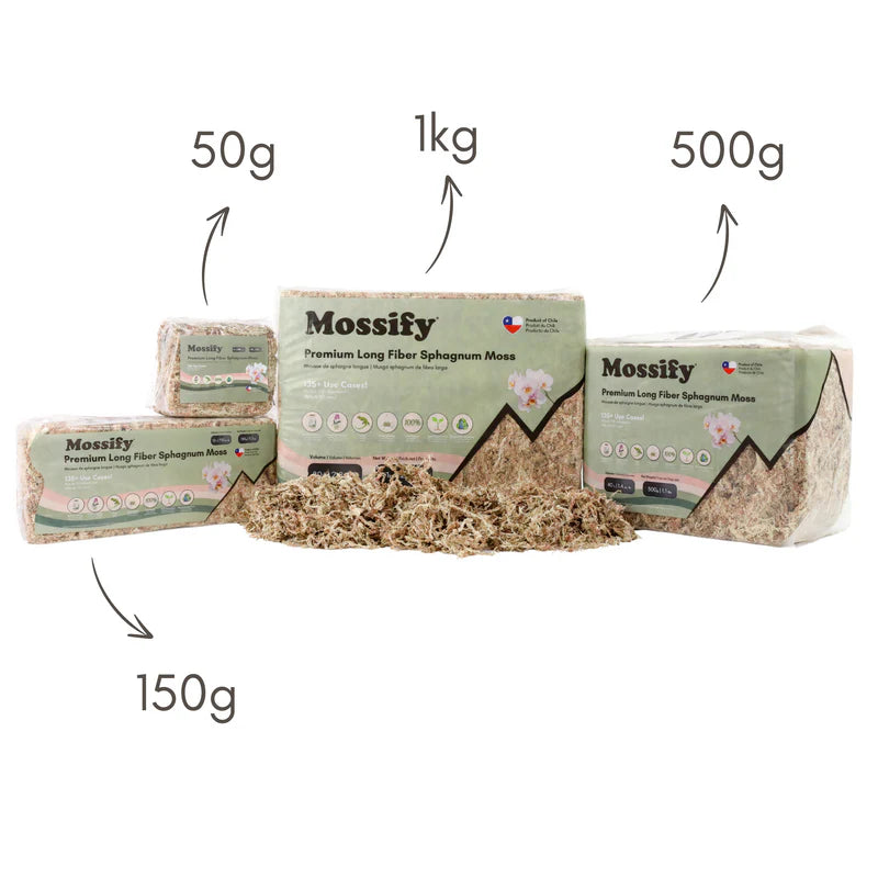 Mossify Premium Long Fiber Sphagnum Moss — Sustainably Harvested for Aroids, Orchids, Propagation & Terrariums