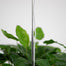 Mossify Adjustable Full Spectrum LED Plant Light for Indoor Plants