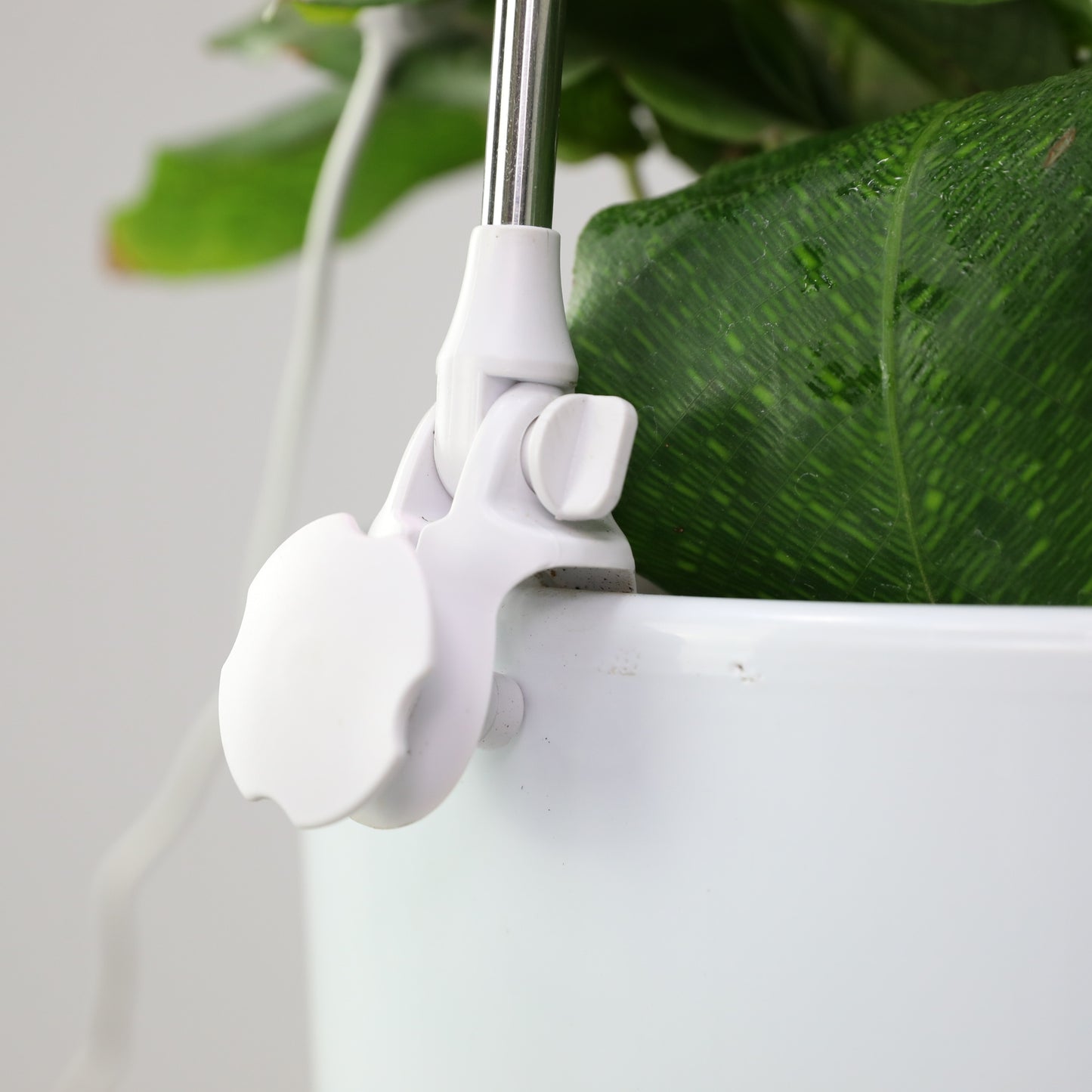 Adjustable metal pole and clip on the Mossify LED grow light — attaches securely to pots and planters