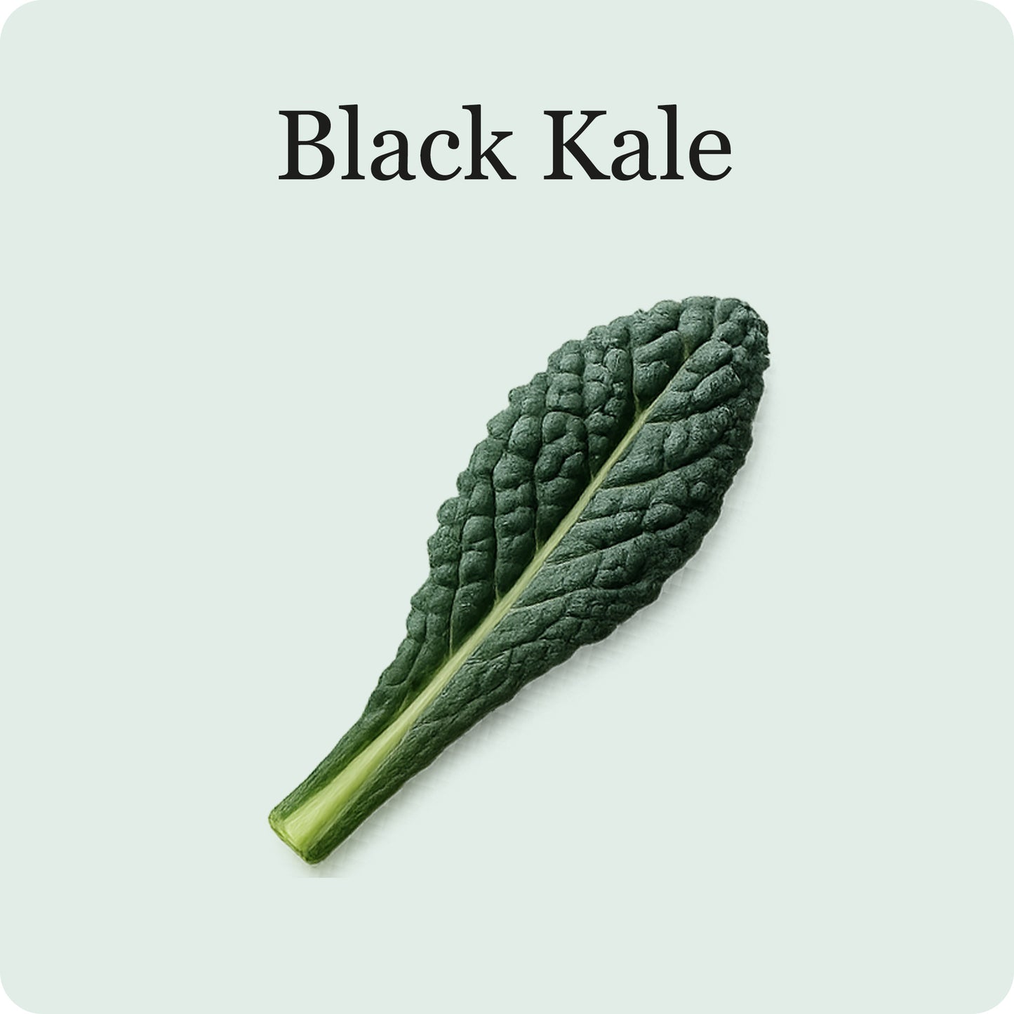 Kale Mix