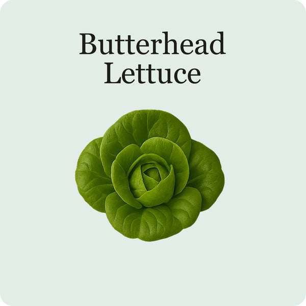 Leafy Mix