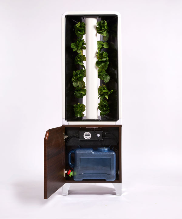 The EVE Tower Garden