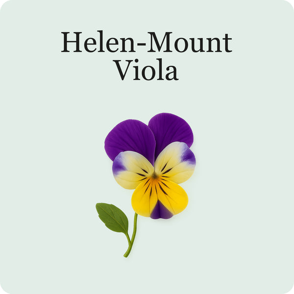 Edible Flower Mix