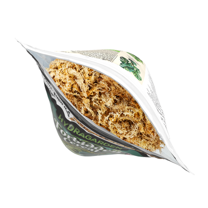 Forbidden Cereal Soilless Houseplant Potting Mix